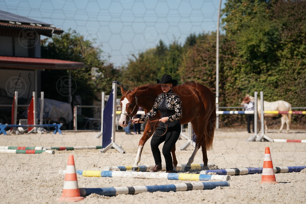 s_A_907695.JPG